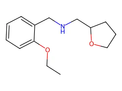 [(2-Ethoxyphenyl)methyl](oxolan-2-ylmethyl)amine structure