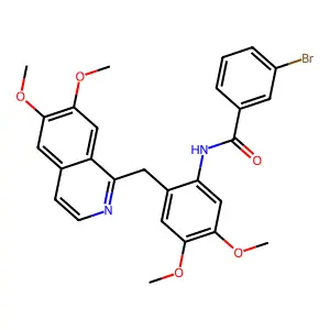 CBKinase1_011704 structure