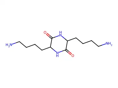 3,6-Bis(4-aminobutyl)piperazine-2,5-dione structure