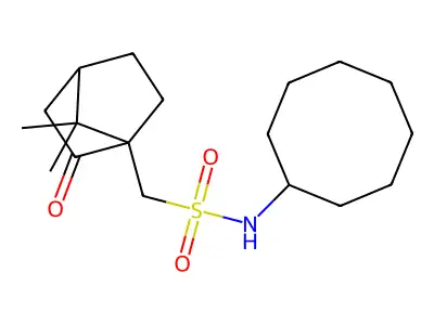 1-{[(Cyclooctylamino)sulfonyl]methyl}-7,7-dimethylbicyclo[2.2.1]heptan-2-one structure