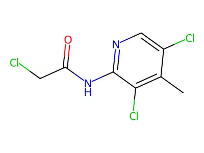 2-chloro-N-(3,5-dichloro-4-methylpyridin-2-yl)acetamide structure