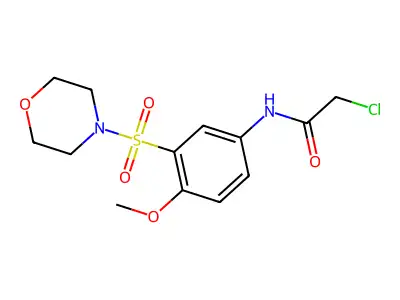 2-chloro-N-[4-methoxy-3-(morpholine-4-sulfonyl)phenyl]acetamide structure