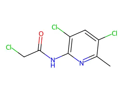 2-chloro-N-(3,5-dichloro-6-methylpyridin-2-yl)acetamide structure