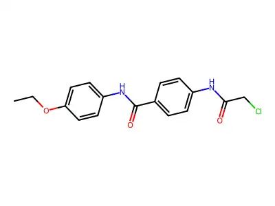 4-(2-chloroacetamido)-N-(4-ethoxyphenyl)benzamide structure