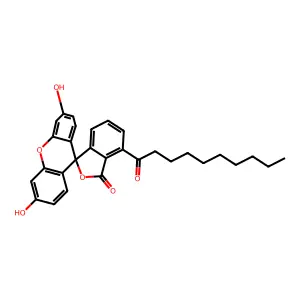 Decanoyl fluorescein structure