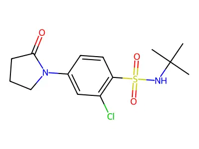 N-tert-butyl-2-chloro-4-(2-oxopyrrolidin-1-yl)benzenesulfonamide structure