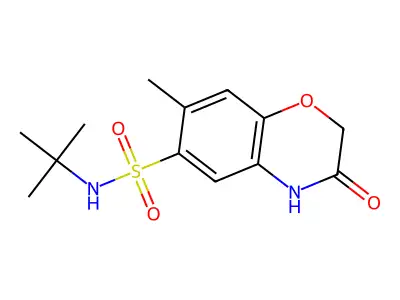 N-(tert-butyl)-7-methyl-3-oxo-3,4-dihydro-2H-1,4-benzoxazine-6-sulfonamide structure