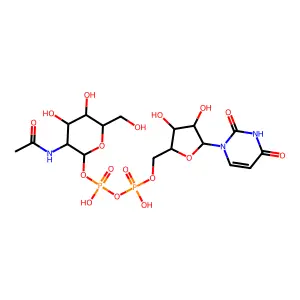 UDP-N-acetylgalactosamine structure