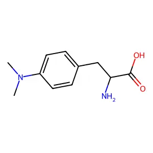 4'-Dimethylaminophenylalanine structure