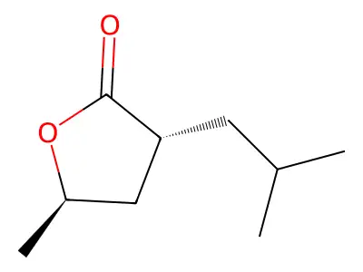 2(3H)-Furanone, dihydro-5-methyl-3-(2-methylpropyl)- structure