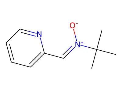 2-pyridyl-N-t-butyl nitrone structure