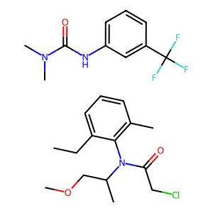 Cotoran-Dual mixt structure
