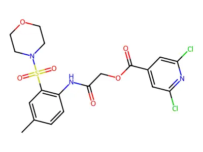 [2-(4-methyl-2-morpholin-4-ylsulfonylanilino)-2-oxoethyl] 2,6-dichloropyridine-4-carboxylate structure