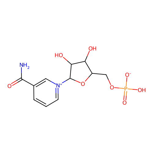 beta-NM;NMN structure