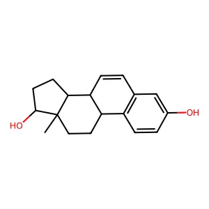 delta 6 E2 structure