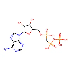 α,β-亚甲基ATP structure