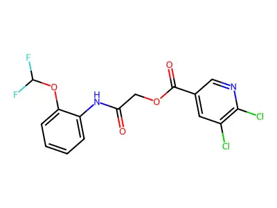 {[2-(Difluoromethoxy)phenyl]carbamoyl}methyl 5,6-dichloropyridine-3-carboxylate structure
