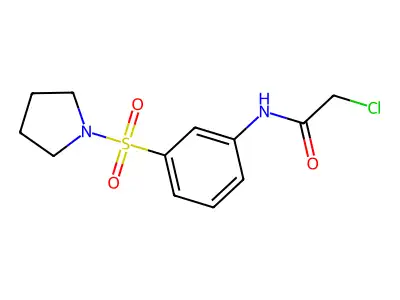 2-chloro-N-(3-(pyrrolidine-1-sulfonyl)phenyl)acetamide structure