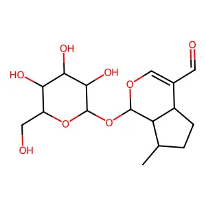 Boschnaloside structure