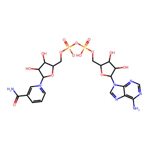 Adenine-alpha-nicotinamide dinucleotide structure