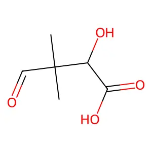 2-Hydroxy-3,3-dimethyl-4-oxobutanoic acid structure