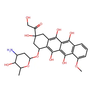 Adriamycin semiquinone free radical structure
