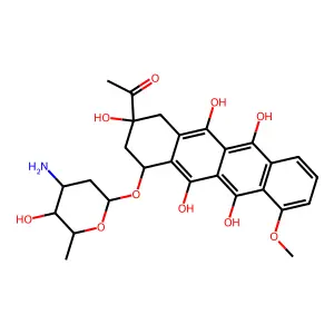 Daunorubicin semiquinone free radical structure