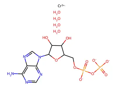 Chromium adenosine diphosphate structure