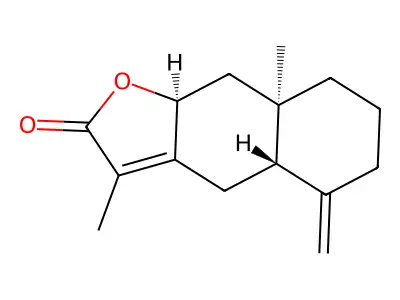 Asterolide structure