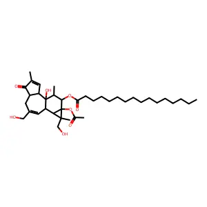 Croton factor F2 structure
