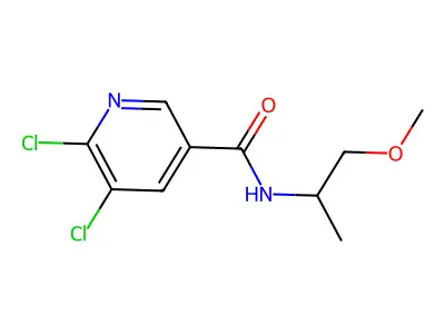 5,6-dichloro-N-(1-methoxypropan-2-yl)pyridine-3-carboxamide structure