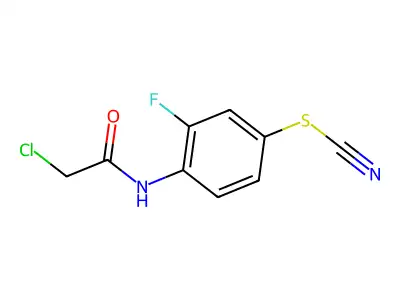 2-chloro-N-(4-(cyanosulfanyl)-2-fluorophenyl)acetamide structure
