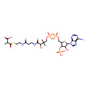 (R)-Methylmalonyl-CoA structure