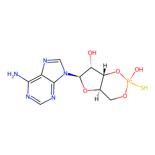 Sp-Camps structure