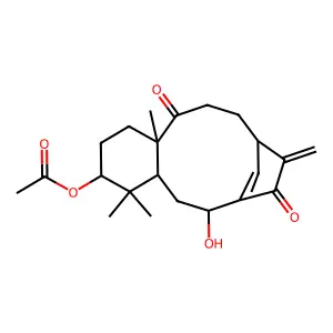 Shikoccin structure
