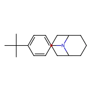 9-Azabicyclo(3.3.1)nonane, 9-(4-(1,1-dimethylethyl)phenyl)- structure
