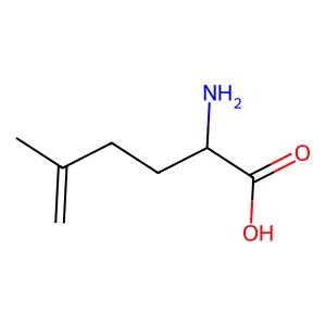 2-Amino-5-methyl-5-hexenoic acid structure