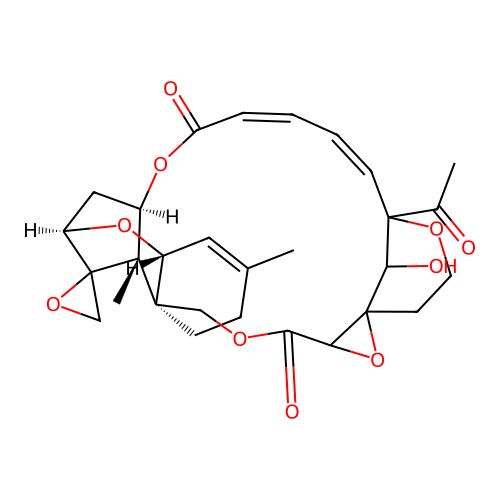 Isosatratoxin F structure