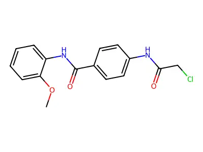 4-(2-chloroacetamido)-N-(2-methoxyphenyl)benzamide structure
