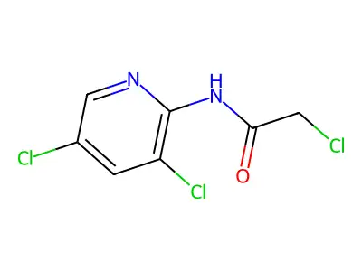 2-chloro-N-(3,5-dichloropyridin-2-yl)acetamide structure