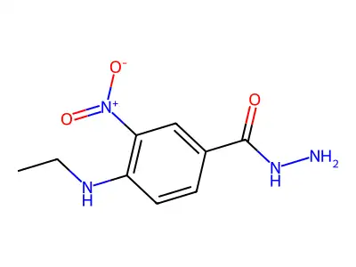 4-(Ethylamino)-3-nitrobenzohydrazide structure