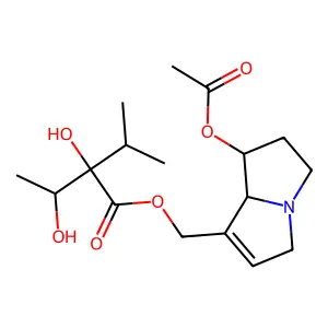 7-Acetyllycopsamine structure