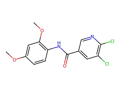 5,6-dichloro-N-(2,4-dimethoxyphenyl)pyridine-3-carboxamide structure