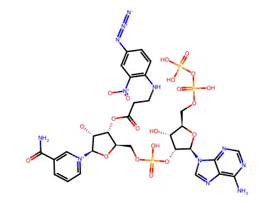 Arylazido-beta-alanyl-nadp structure