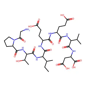 Hsp70-derived octapeptide structure