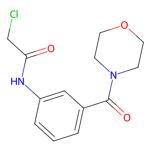 2-chloro-N-[3-(morpholin-4-ylcarbonyl)phenyl]acetamide structure