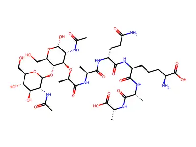 Peptidoglycan pentapeptide-mDap3 structure