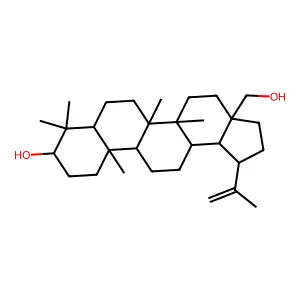 Lup-20(29)-ene-3beta,28-diol structure