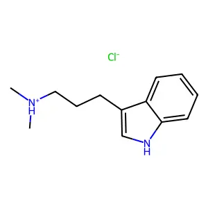 3-(1H-Indol-3-yl)-N,N-dimethylpropan-1-amine--hydrogen chloride (1/1) structure