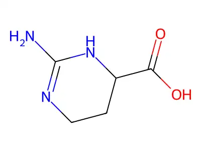 2-Imino-1,3-diazinane-4-carboxylic acid structure